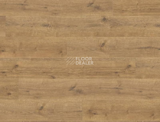 Ламинат Haro Tritty 100 Gran Via 4V ДУБ ПОРТЛЭНД НАТУР 533141 фото 1 | FLOORDEALER